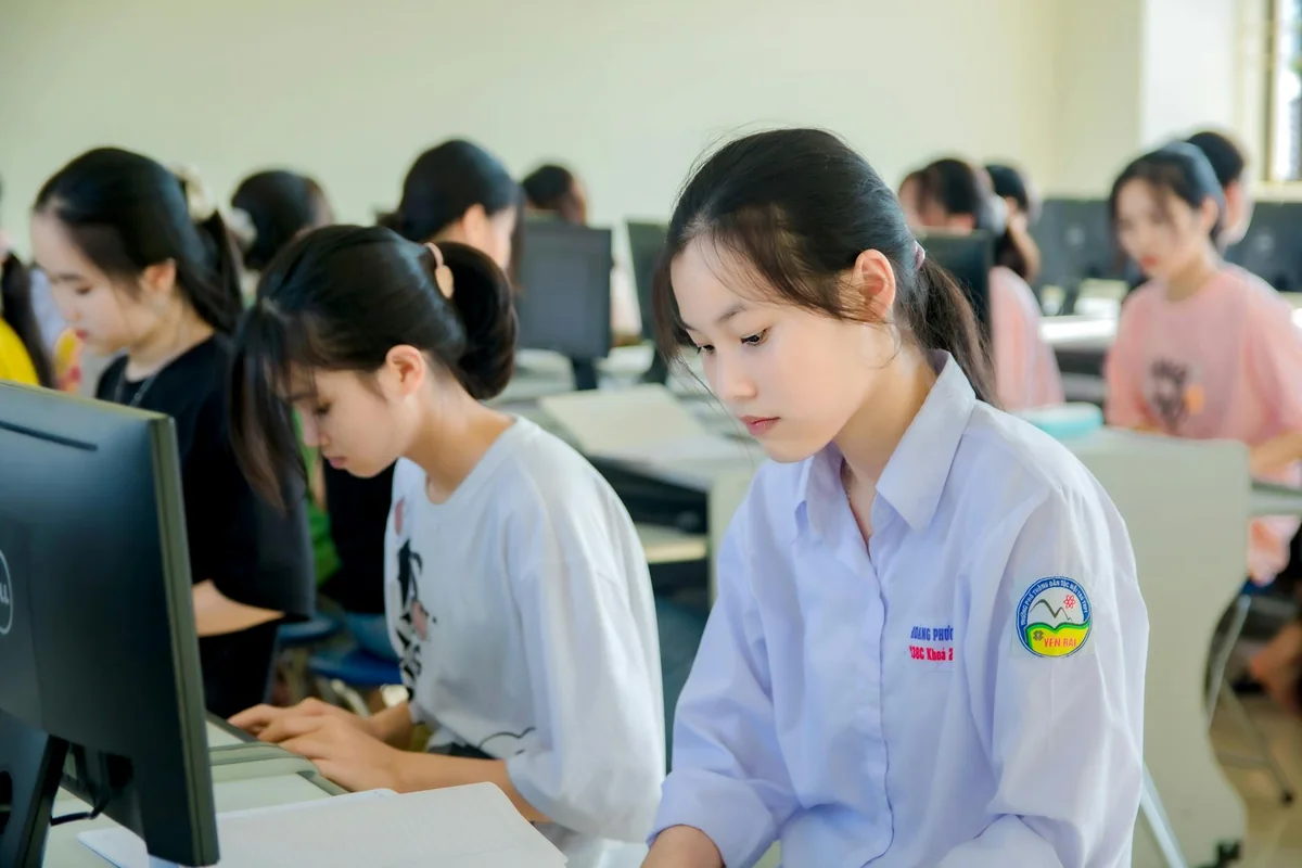 华人吃瓜网频道分类页中多个频道并列陈列的排布示意